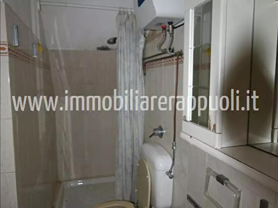 Immagine 28 di Casa indipendente in vendita  a Trequanda