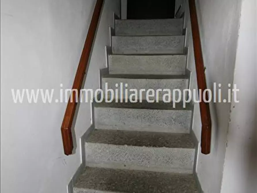 Immagine 30 di Casa indipendente in vendita  a Trequanda