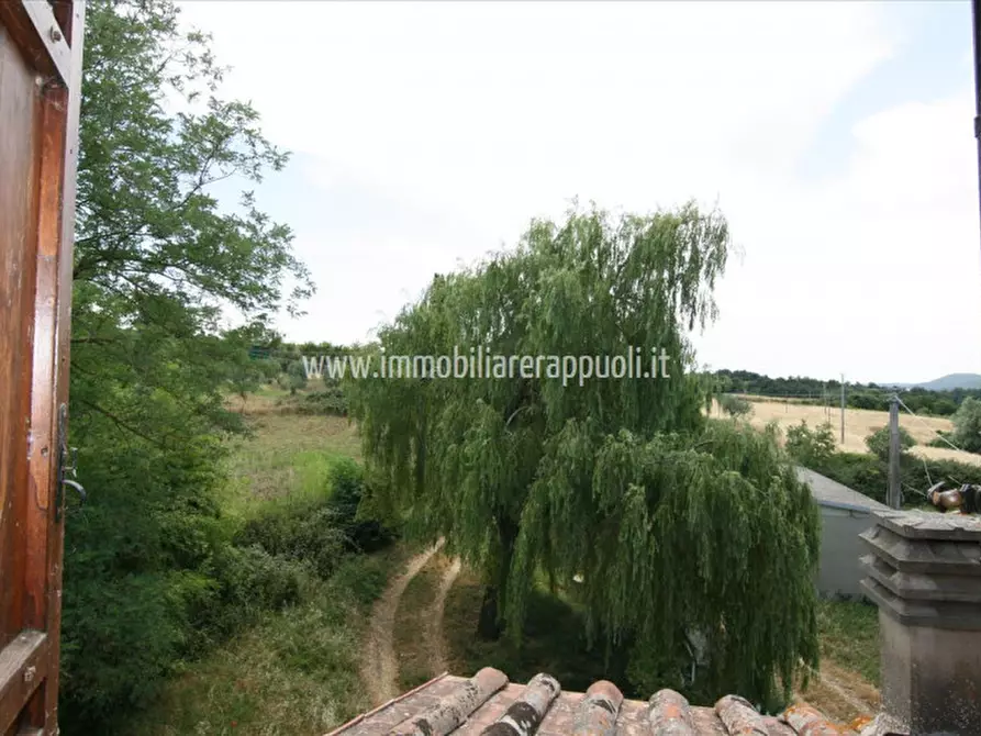 Immagine 31 di Casa indipendente in vendita  a Trequanda