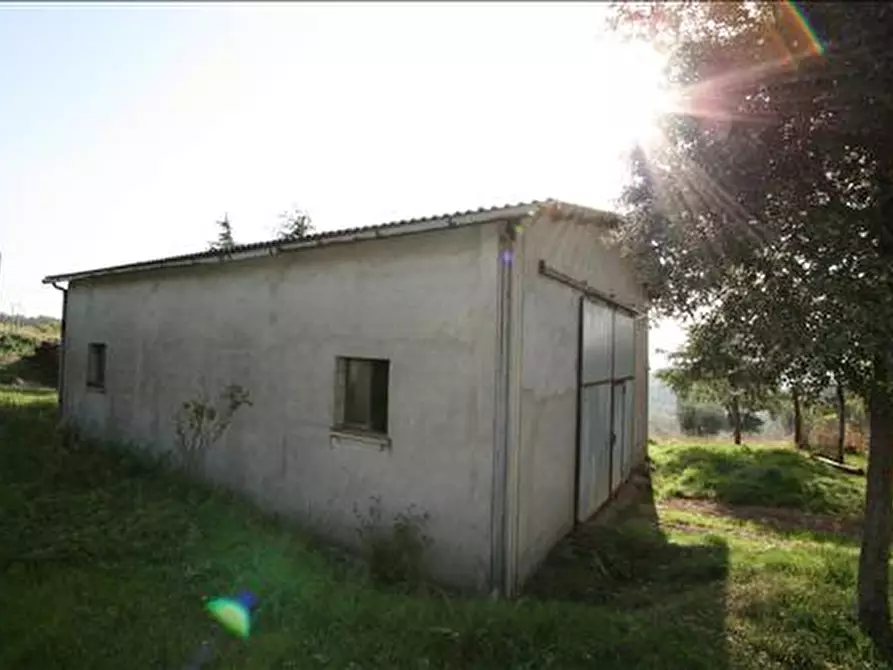 Immagine 34 di Casa indipendente in vendita  a Trequanda