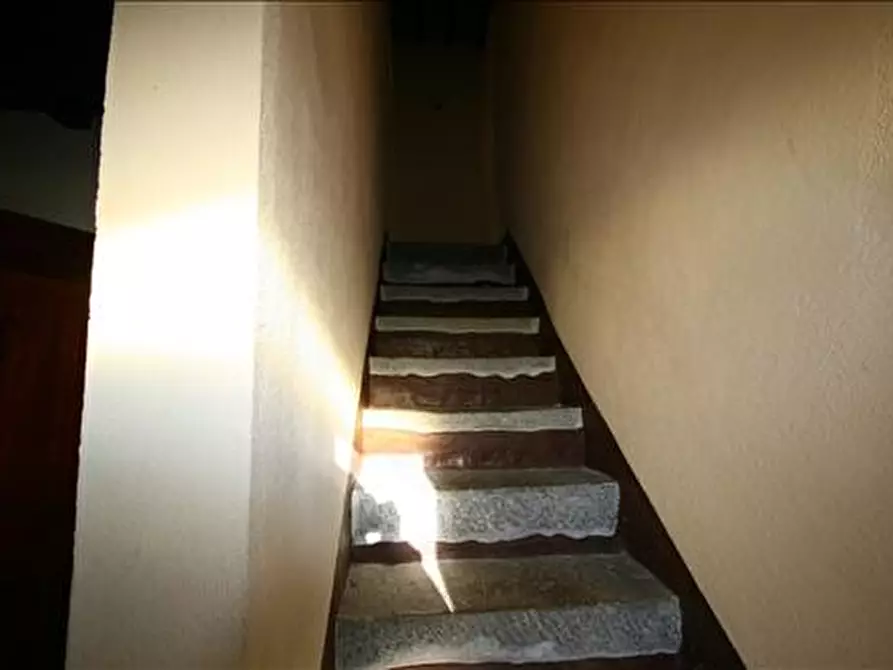 Immagine 9 di Casa indipendente in vendita  a Sinalunga