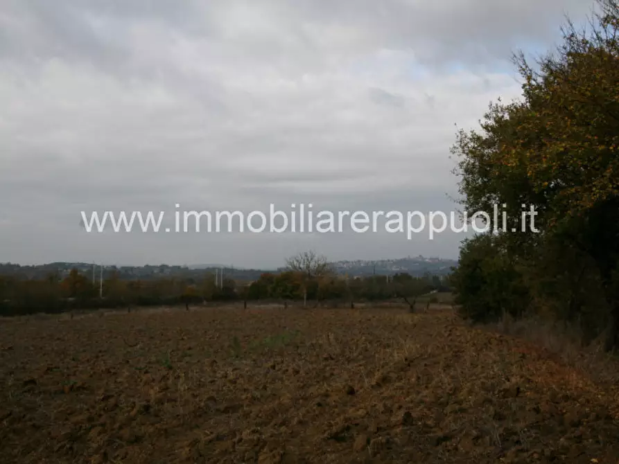 Immagine 3 di Rustico / casale in vendita  a Foiano Della Chiana