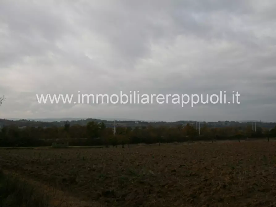 Immagine 4 di Rustico / casale in vendita  a Foiano Della Chiana