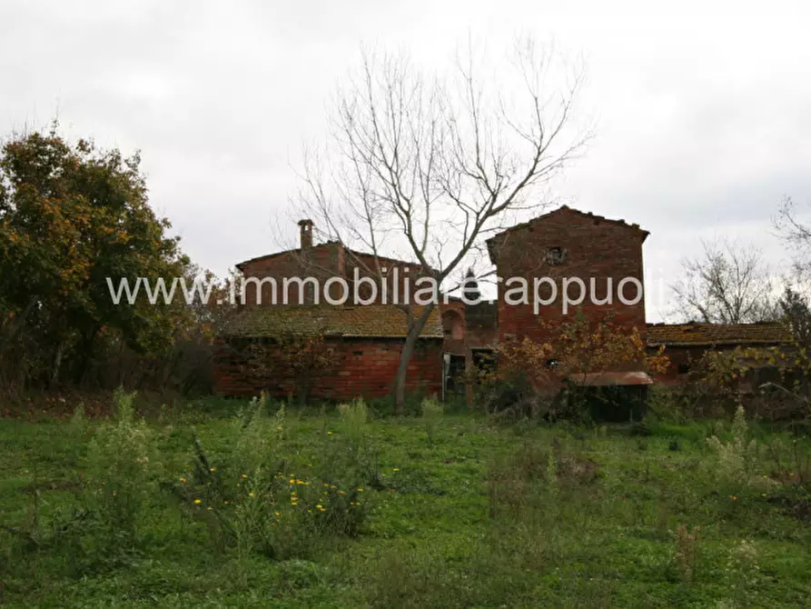 Immagine 5 di Rustico / casale in vendita  a Foiano Della Chiana