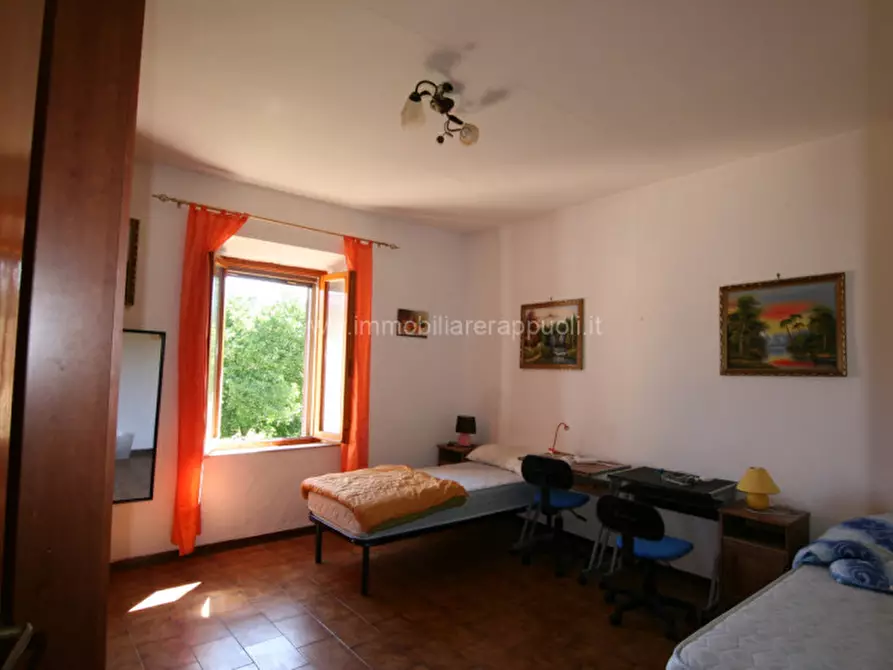 Immagine 4 di Appartamento in vendita  a Asciano