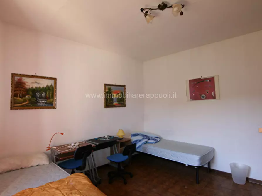 Immagine 5 di Appartamento in vendita  a Asciano