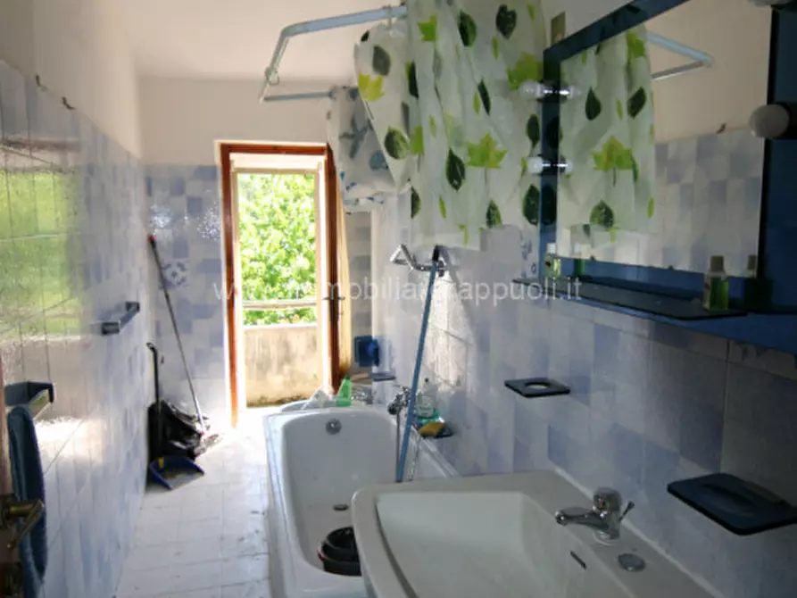 Immagine 11 di Appartamento in vendita  a Asciano