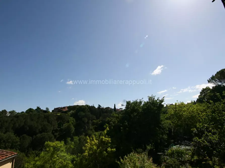 Immagine 14 di Appartamento in vendita  a Asciano