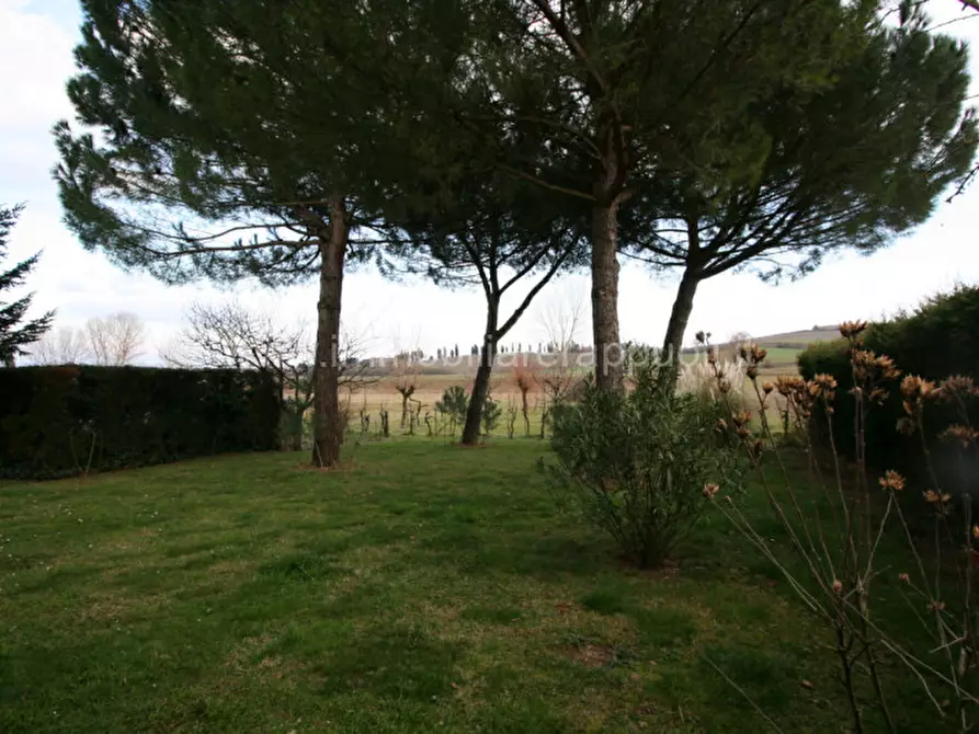 Immagine 8 di Casa indipendente in vendita  a Sinalunga