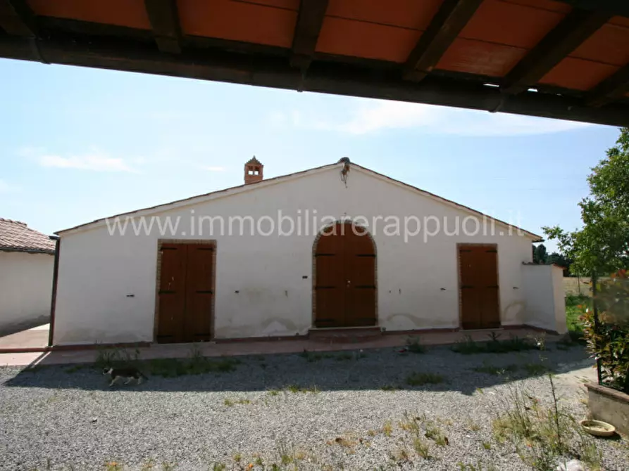 Immagine 3 di Rustico / casale in vendita  a Montepulciano