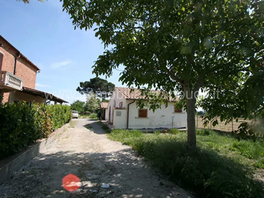 Immagine 4 di Rustico / casale in vendita  a Montepulciano