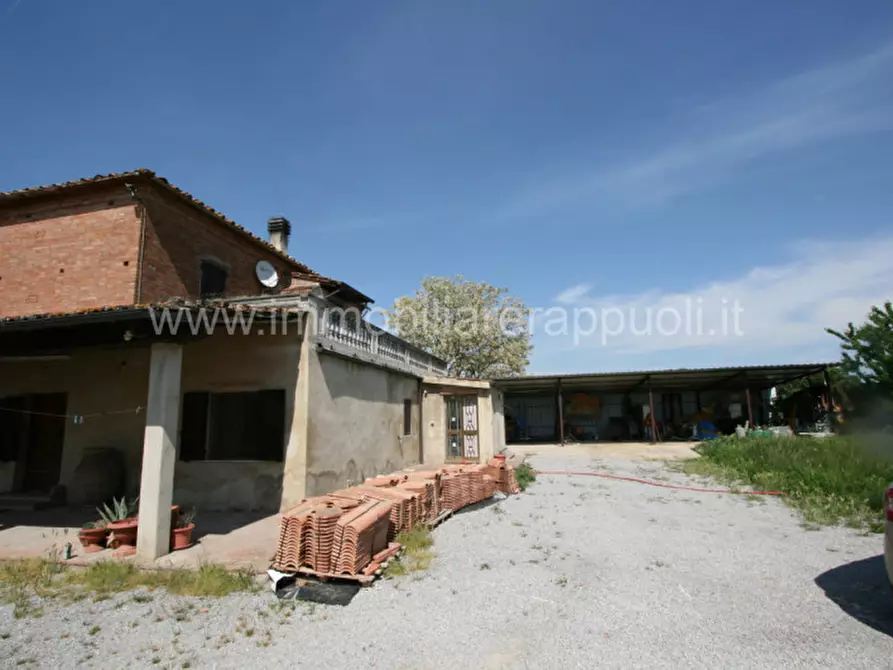 Immagine 19 di Rustico / casale in vendita  a Montepulciano