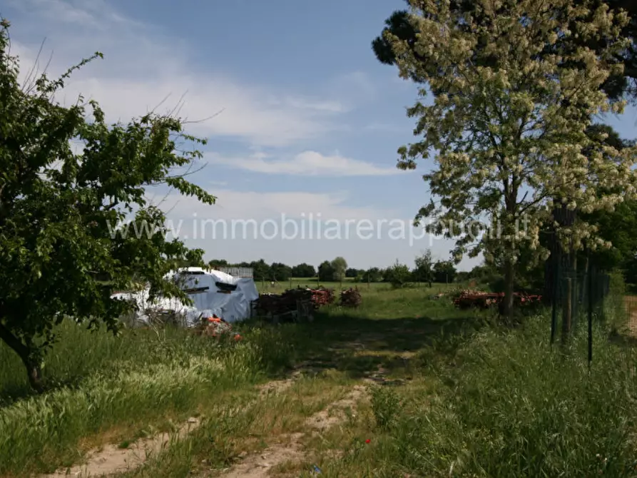 Immagine 20 di Rustico / casale in vendita  a Montepulciano