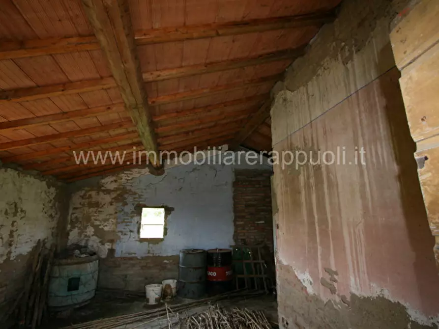 Immagine 3 di Rustico / casale in vendita  a Sinalunga