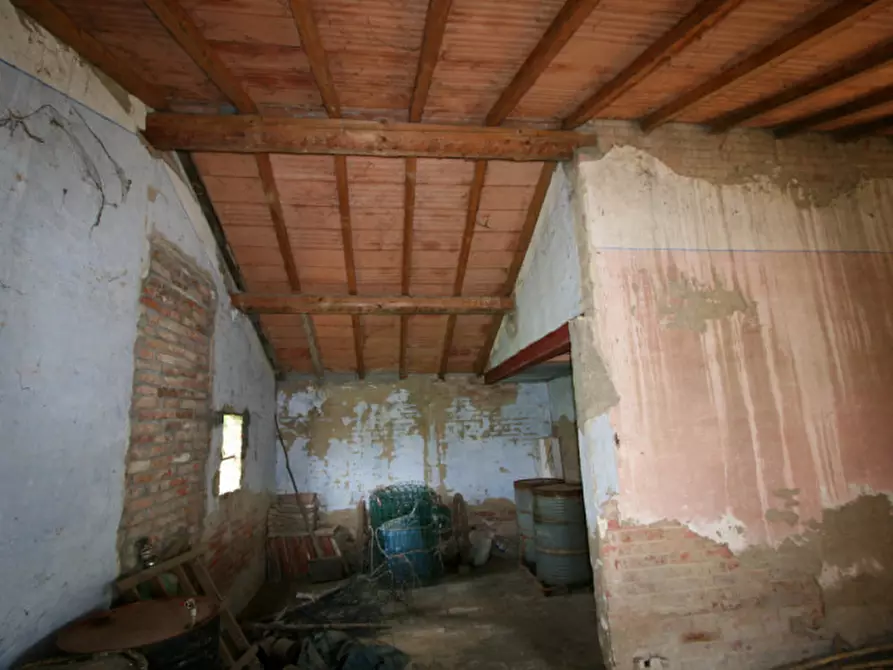 Immagine 4 di Rustico / casale in vendita  a Sinalunga