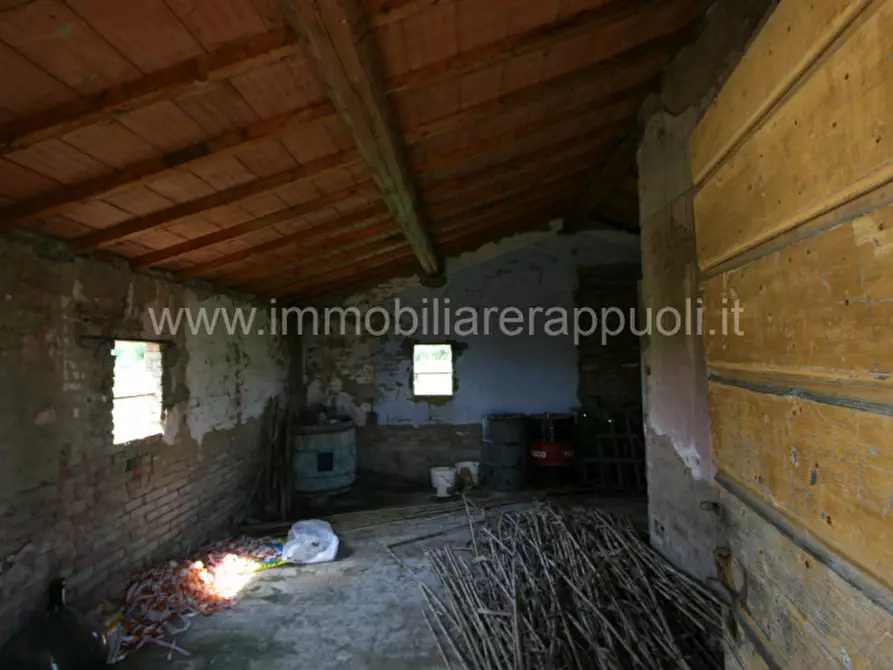Immagine 5 di Rustico / casale in vendita  a Sinalunga