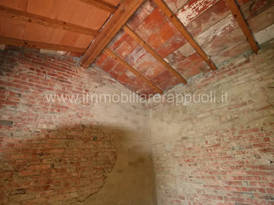 Immagine 8 di Rustico / casale in vendita  a Sinalunga