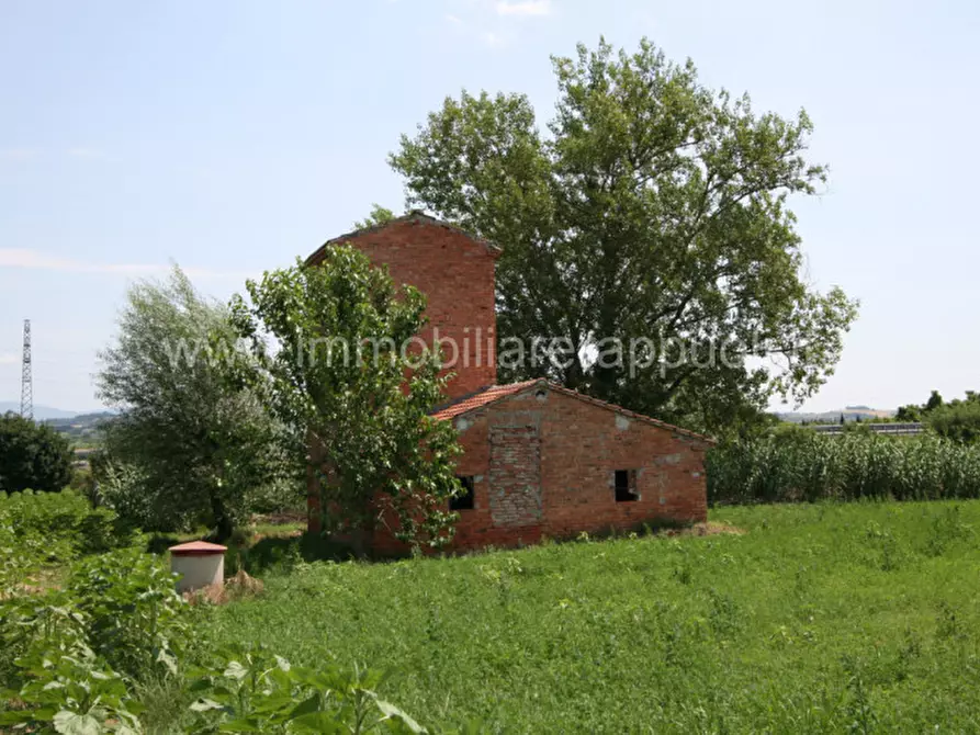 Immagine 11 di Rustico / casale in vendita  a Sinalunga