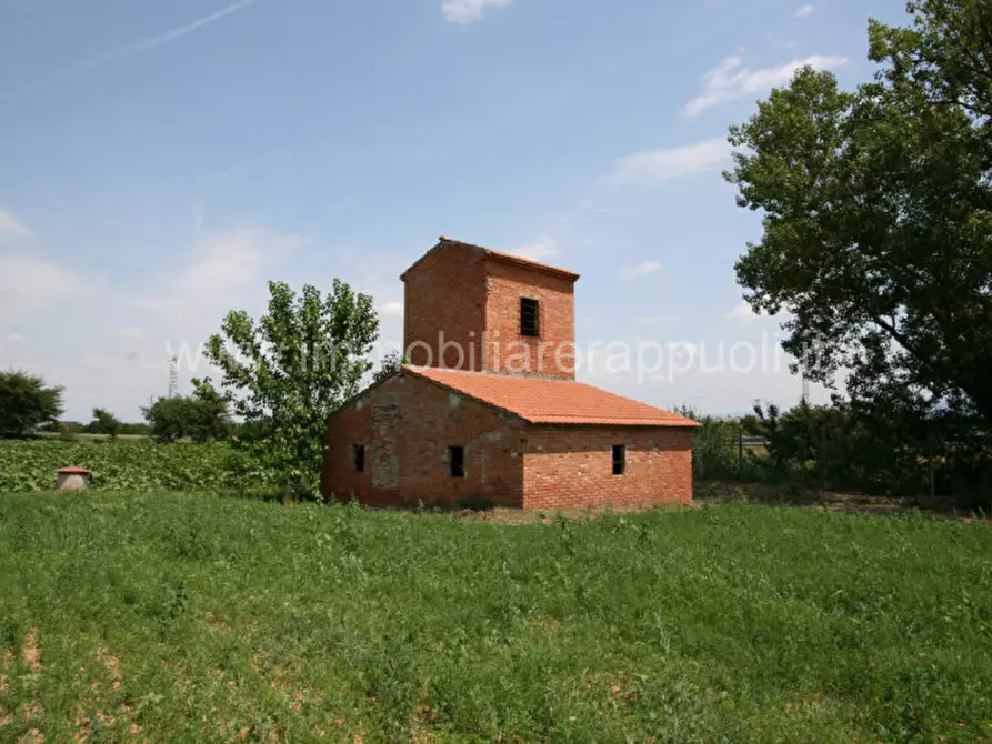 Immagine 12 di Rustico / casale in vendita  a Sinalunga