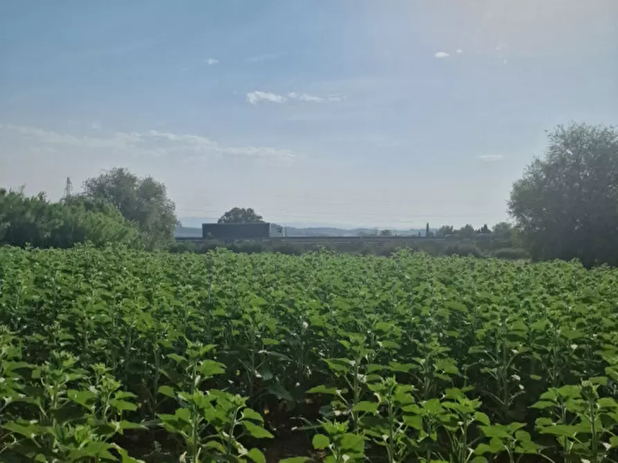 Immagine 15 di Rustico / casale in vendita  a Sinalunga