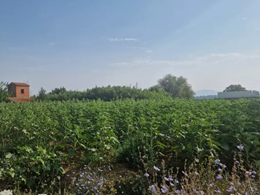 Immagine 16 di Rustico / casale in vendita  a Sinalunga