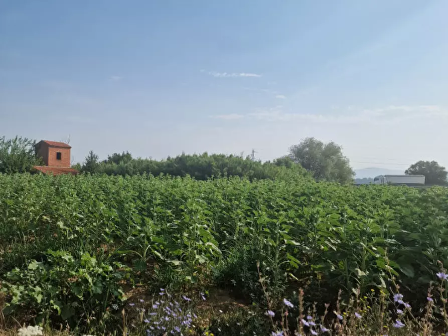 Immagine 18 di Rustico / casale in vendita  a Sinalunga