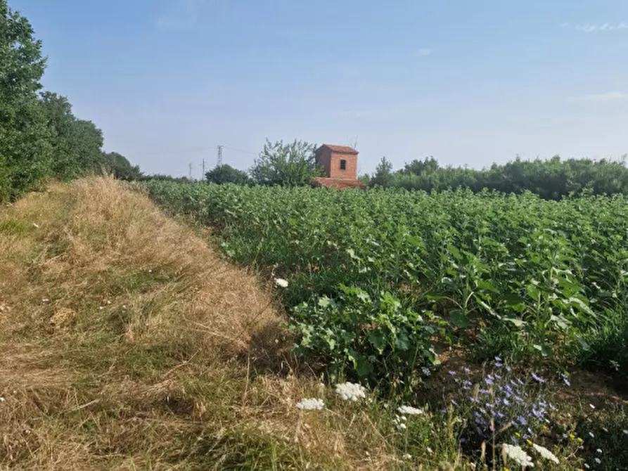 Immagine 19 di Rustico / casale in vendita  a Sinalunga