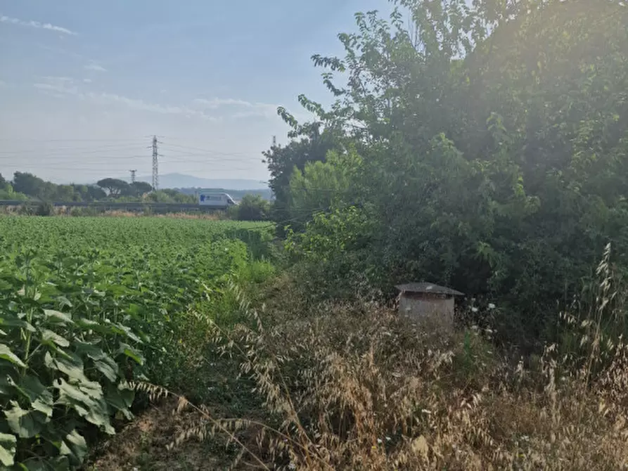 Immagine 20 di Rustico / casale in vendita  a Sinalunga