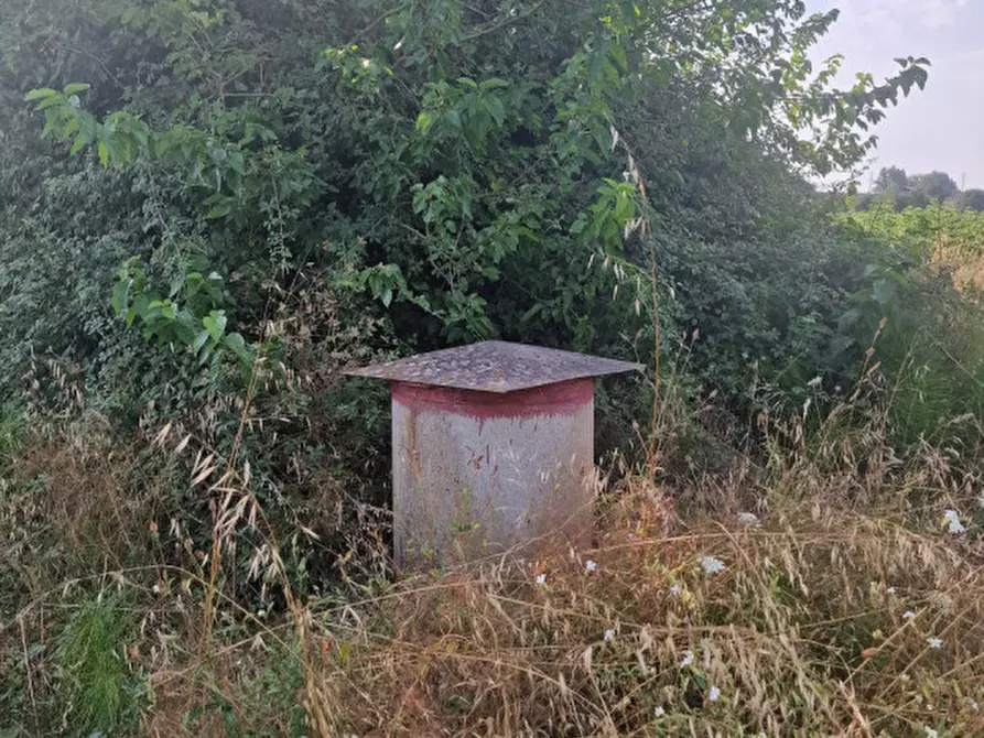 Immagine 21 di Rustico / casale in vendita  a Sinalunga