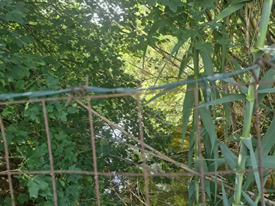 Immagine 22 di Rustico / casale in vendita  a Sinalunga