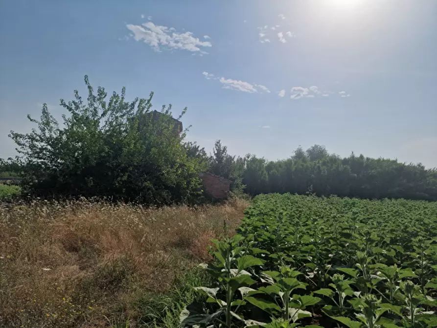 Immagine 28 di Rustico / casale in vendita  a Sinalunga