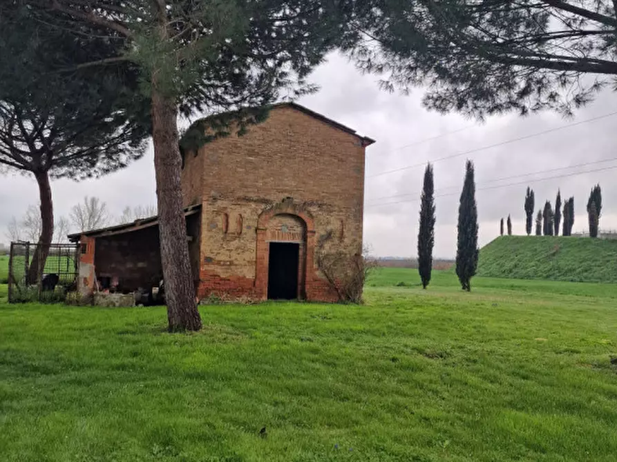 Immagine 11 di Rustico / casale in vendita  a Sinalunga