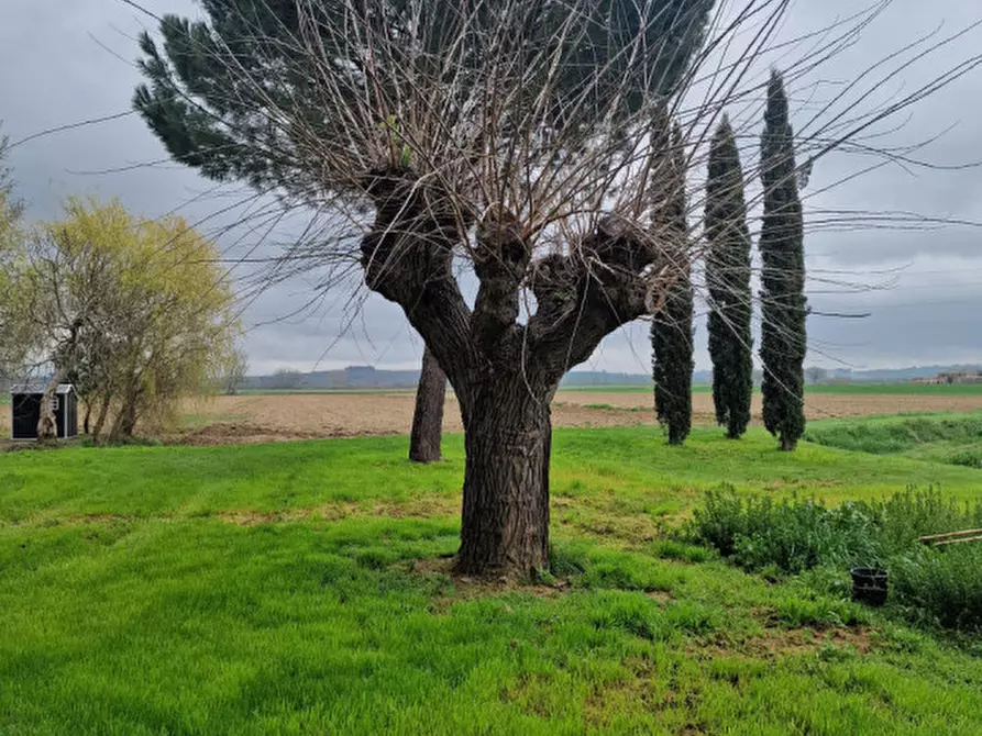 Immagine 15 di Rustico / casale in vendita  a Sinalunga