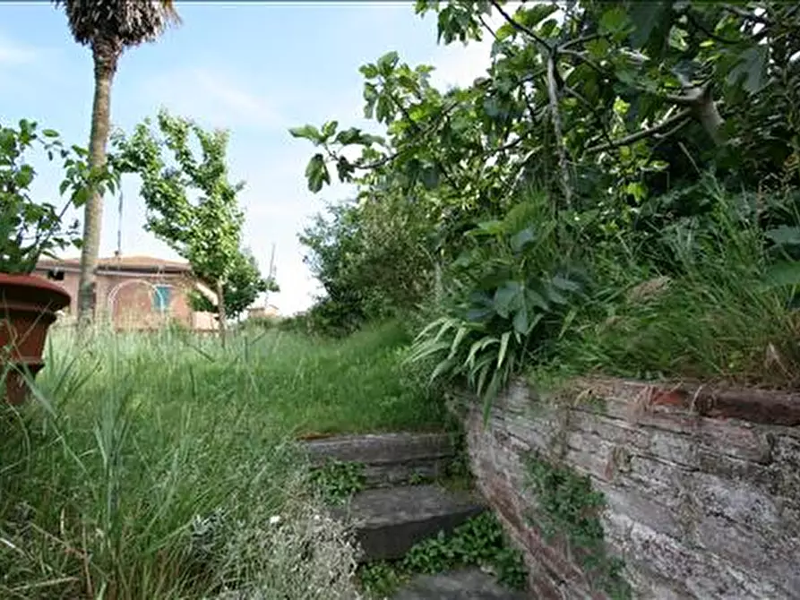 Immagine 14 di Appartamento in vendita  a Sinalunga