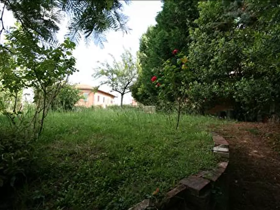 Immagine 15 di Appartamento in vendita  a Sinalunga