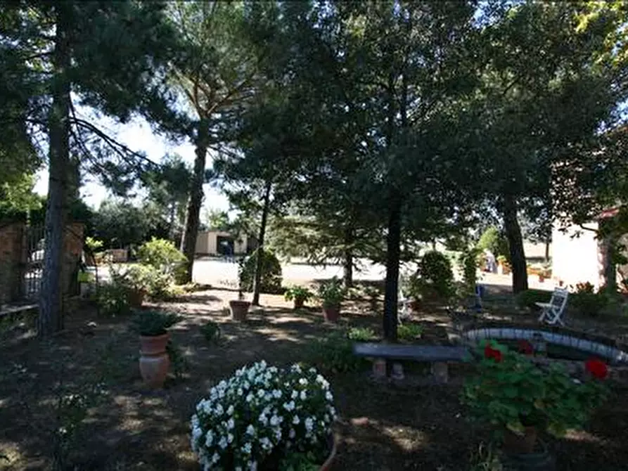 Immagine 10 di Casa indipendente in vendita  a Pienza