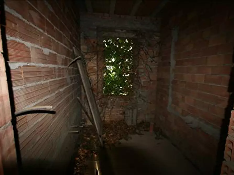 Immagine 4 di Rustico / casale in vendita  a Sinalunga