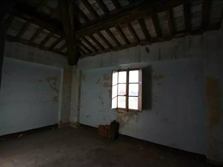 Immagine 4 di Rustico / casale in vendita  a Sinalunga