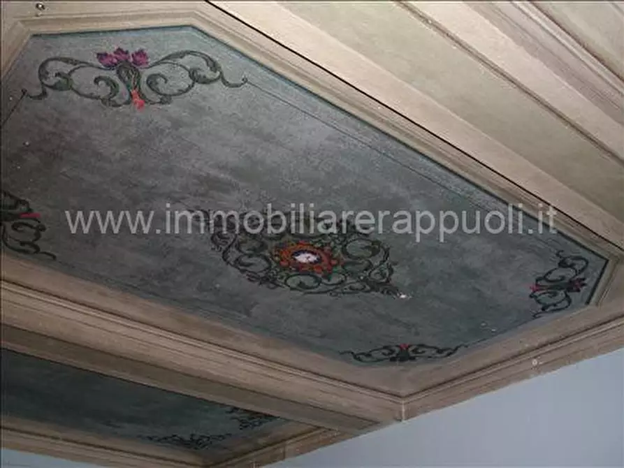 Immagine 24 di Rustico / casale in vendita  a Sinalunga