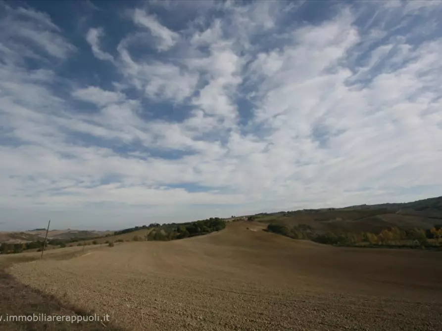 Immagine 1 di Attività commerciale in vendita  a Montalcino