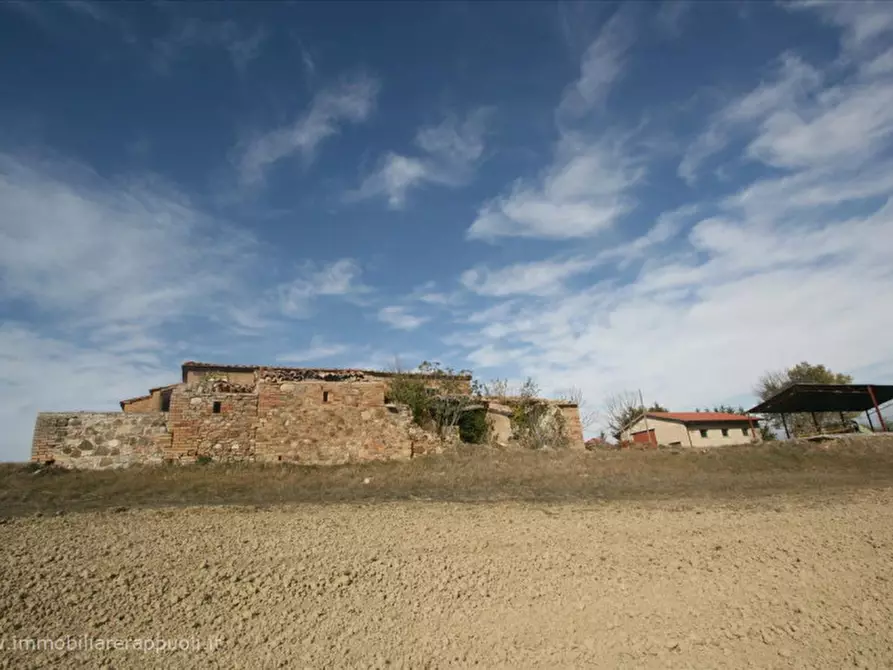 Immagine 2 di Attività commerciale in vendita  a Montalcino