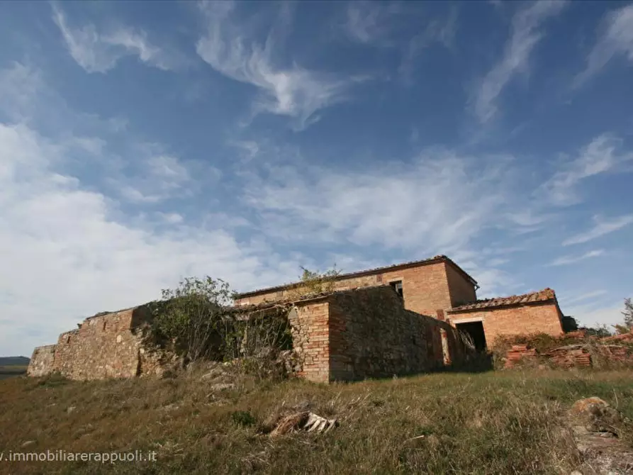 Immagine 3 di Attività commerciale in vendita  a Montalcino