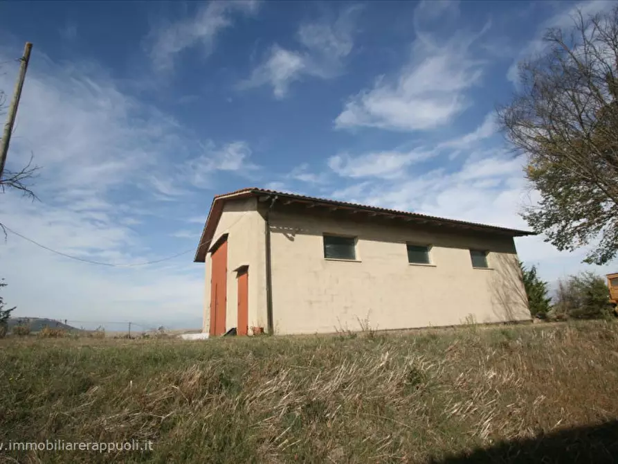 Immagine 4 di Attività commerciale in vendita  a Montalcino