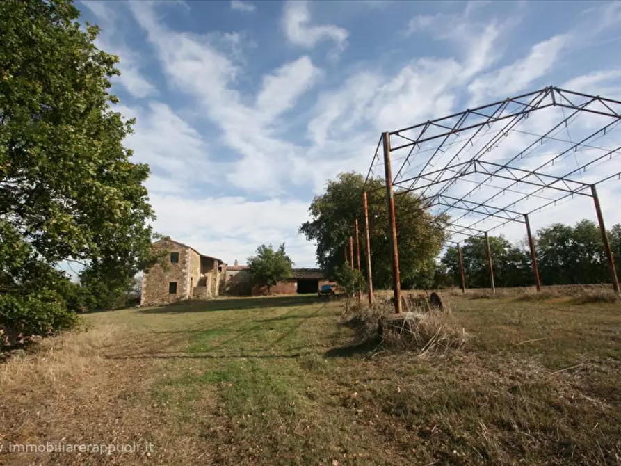 Immagine 6 di Attività commerciale in vendita  a Montalcino
