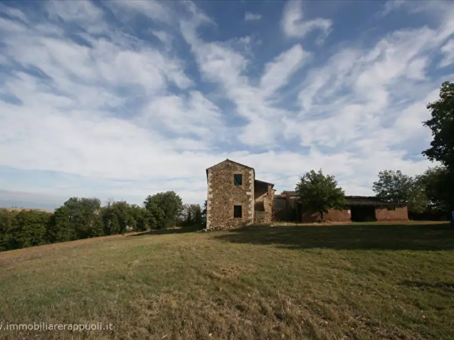 Immagine 7 di Attività commerciale in vendita  a Montalcino
