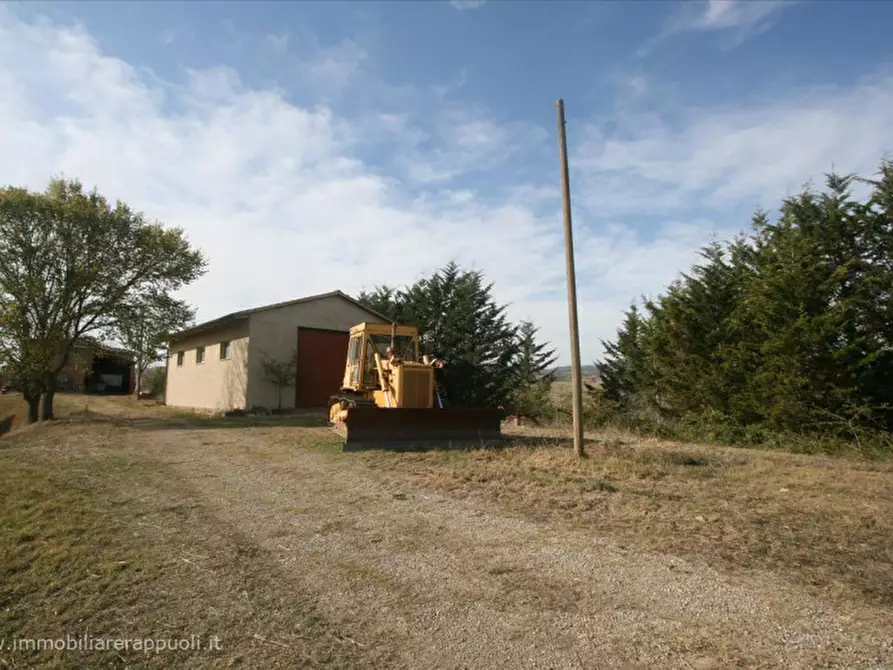 Immagine 8 di Attività commerciale in vendita  a Montalcino