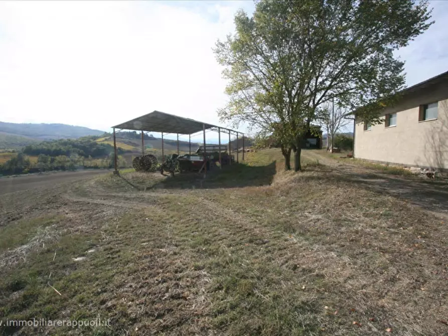 Immagine 9 di Attività commerciale in vendita  a Montalcino