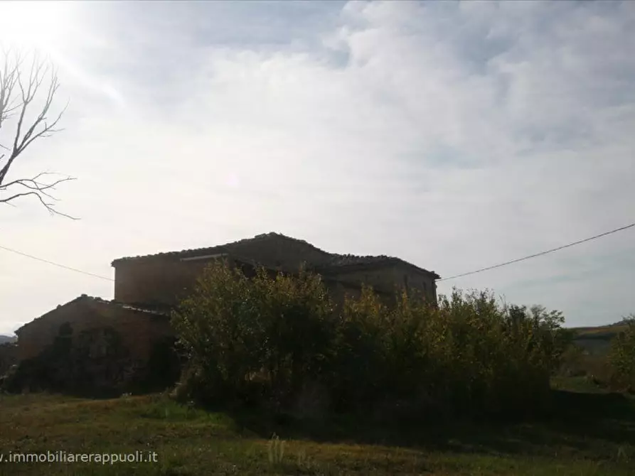 Immagine 10 di Attività commerciale in vendita  a Montalcino