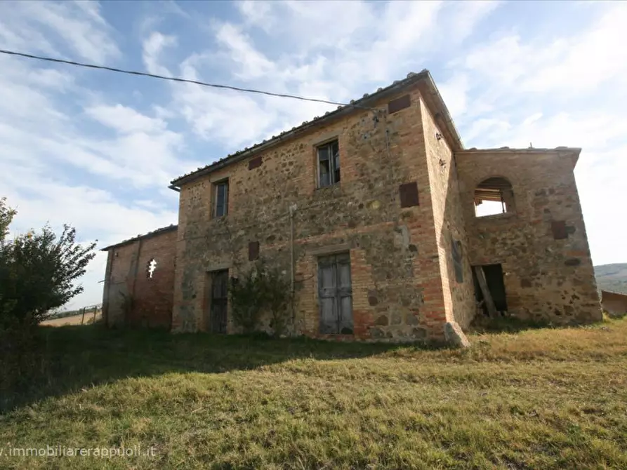 Immagine 11 di Attività commerciale in vendita  a Montalcino