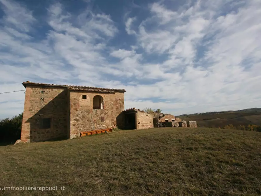 Immagine 12 di Attività commerciale in vendita  a Montalcino